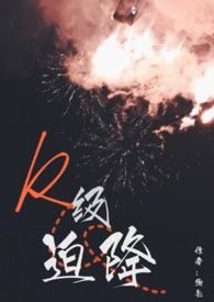 r级迫降事件
